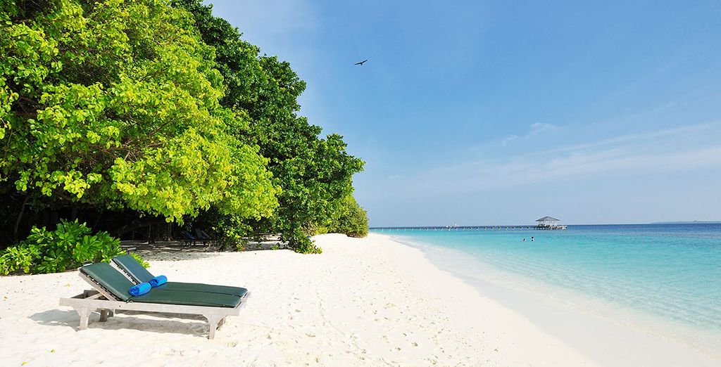 Tour privato Sri Lanka 5* + Royal Island Maldives 5*