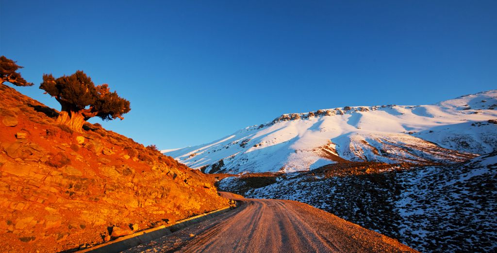 Tour di Marrakech e dei suoi dintorni con 10 degustazioni