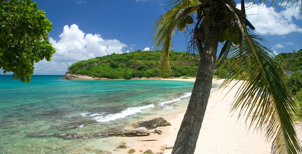 Hawksbill Beach Resort