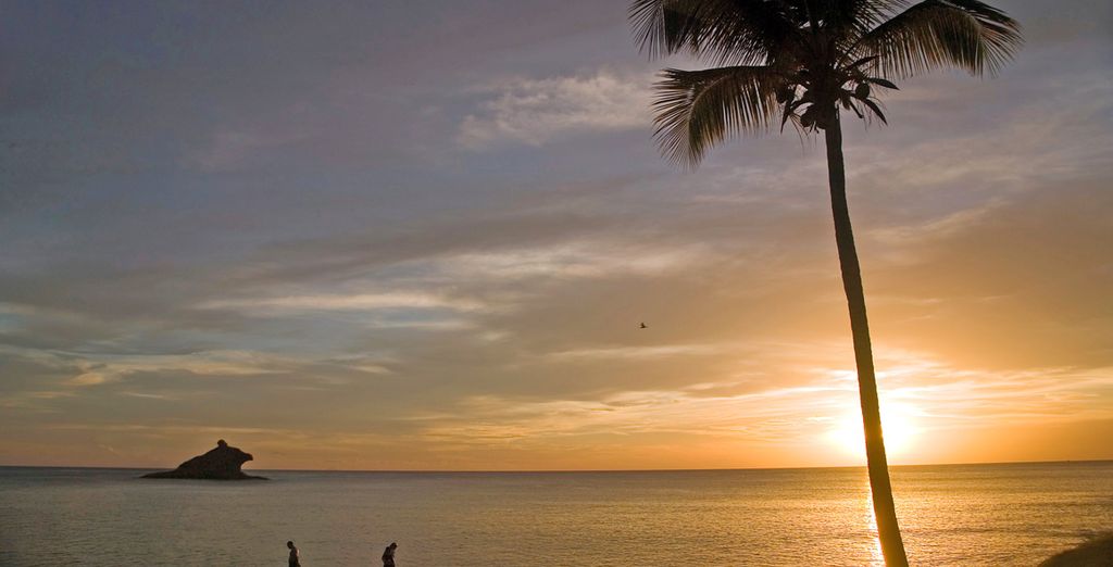 Hawksbill Beach Resort