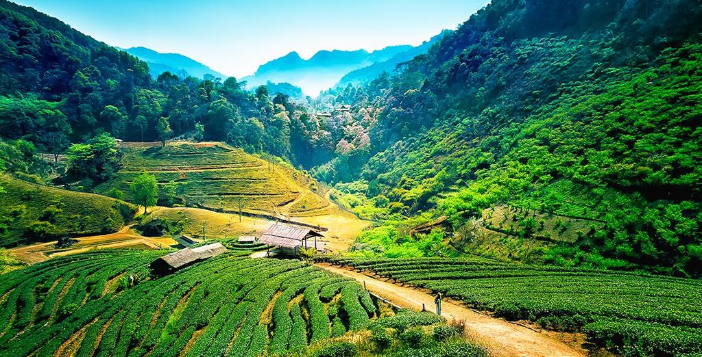 Tour Thailandia e soggiorno mare a Phuket