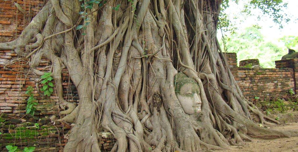 Tour Thailandia e soggiorno mare a Phuket