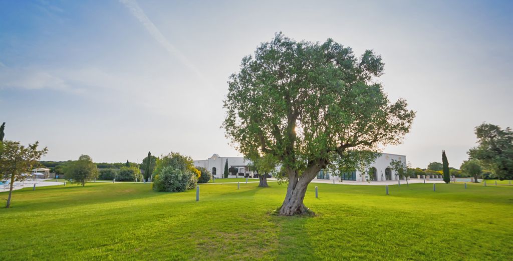 Doubletree by Hilton Acaya Golf Resort 4*S