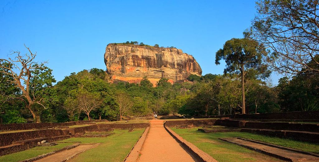 Tour tra cultura, natura incontaminata e mare in Sri Lanka in 4*/5*