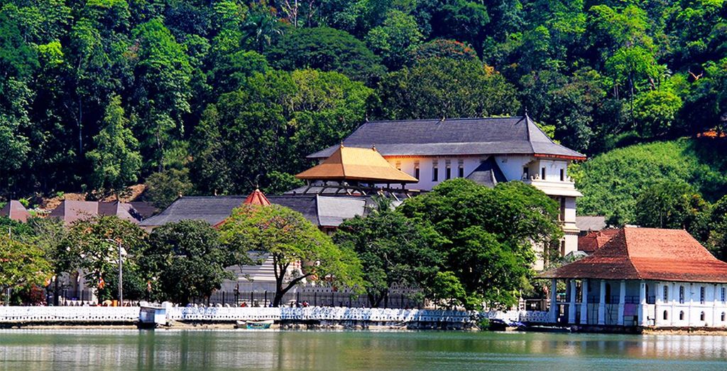 Tour tra cultura, natura incontaminata e mare in Sri Lanka in 4*/5*
