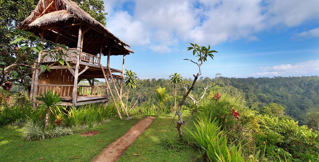 Nandini Jungle Resort & Spa 4* + Melia Bali 5*