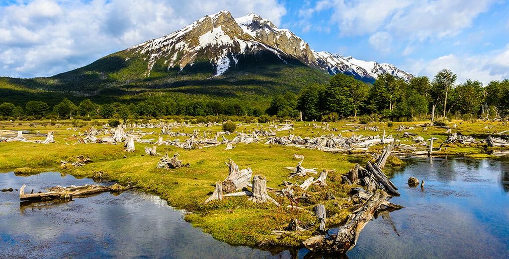 Fotografia di un parco naturale argentino, montagna, foreste verdi e laghi