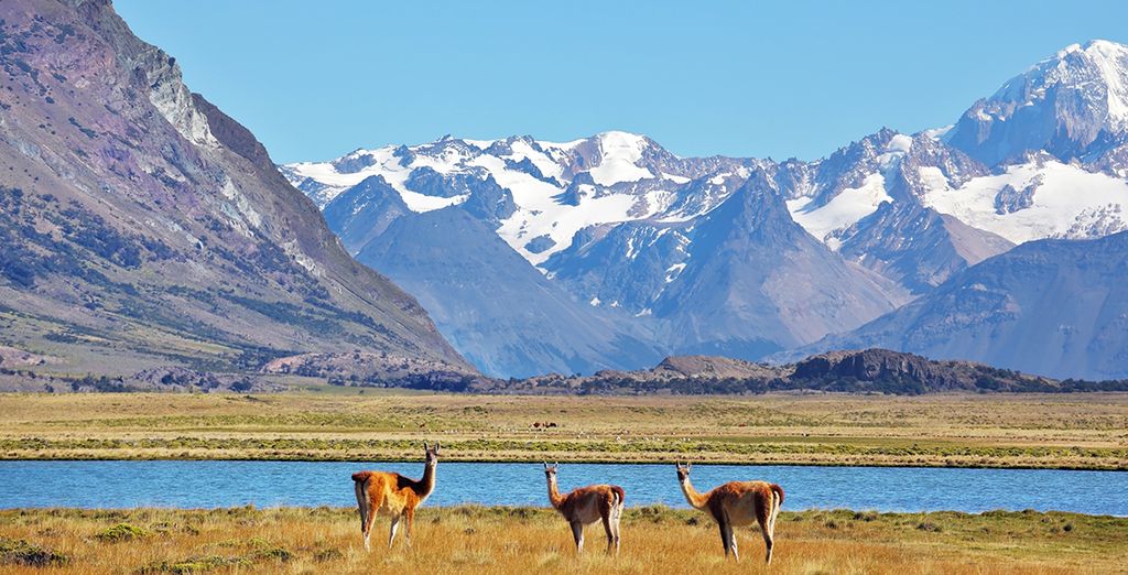 Tour alla scoperta della Patagonia