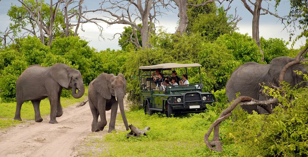 Avventura in Botswana