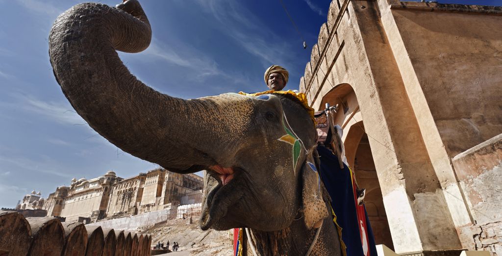 Tour Rajasthan