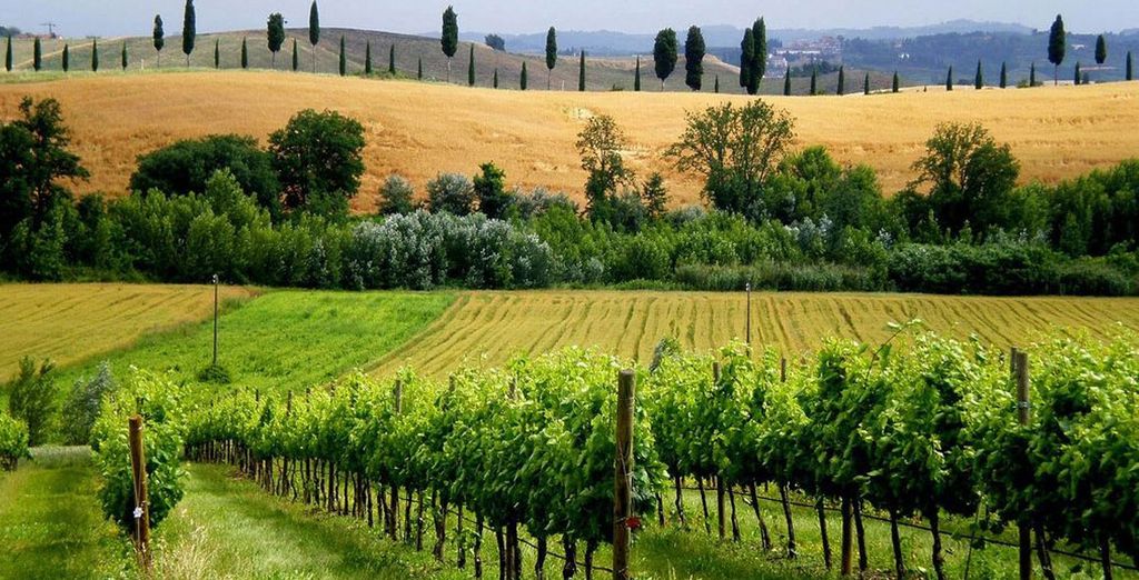 Villa Borri SPA Residence 4*