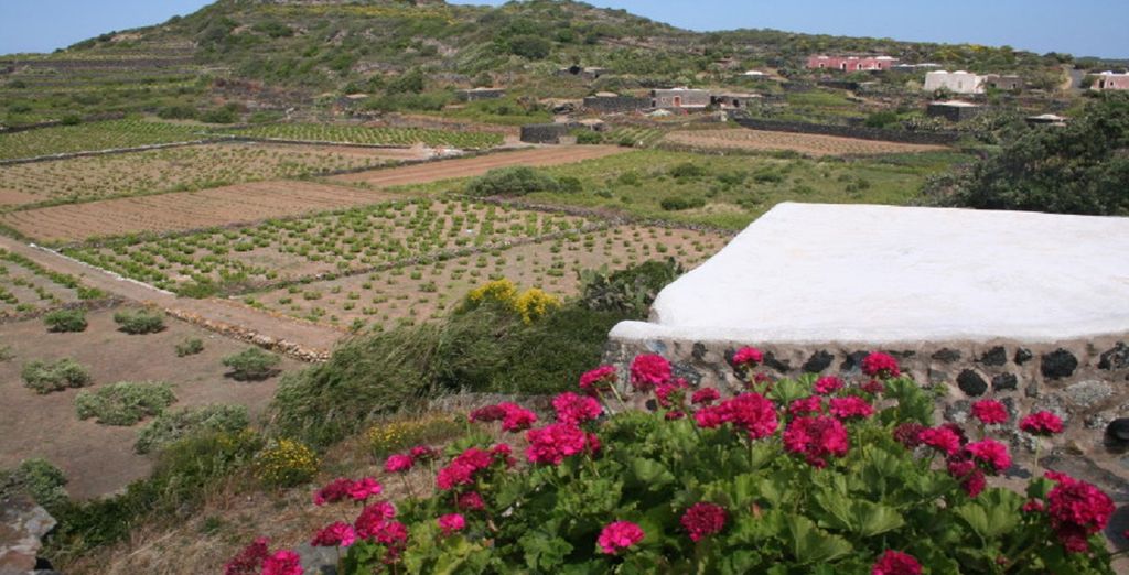 Resort Acropoli