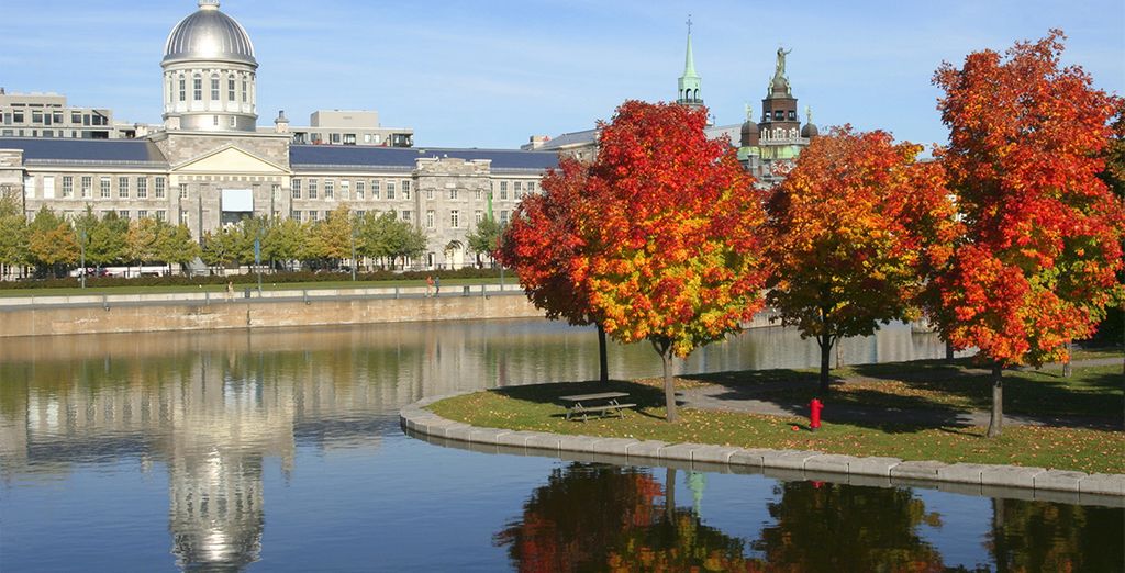 Marriott Chateaux Champlain + Hilton Garden Inn Midtown East 4*