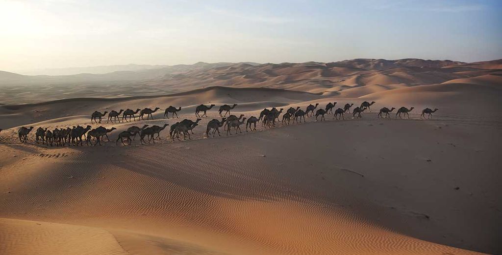 The Westin Abu Dhabi Golf Resort & SPA 5*