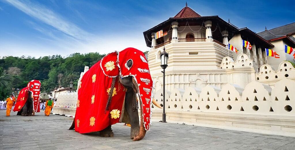 Tour completo dello Sri Lanka con mini safari - 7 notti in Hotel 4 e 5*