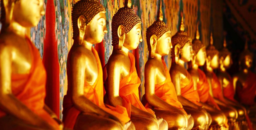 Tour completo dello Sri Lanka con mini safari - 7 notti in Hotel 4 e 5*