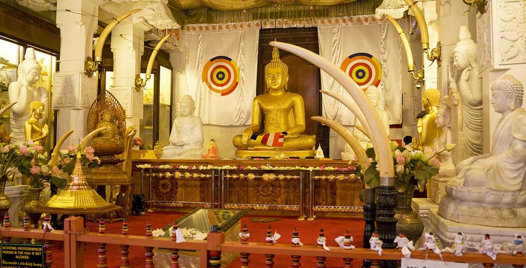 Tour completo dello Sri Lanka con mini safari - 7 notti in Hotel 4 e 5*