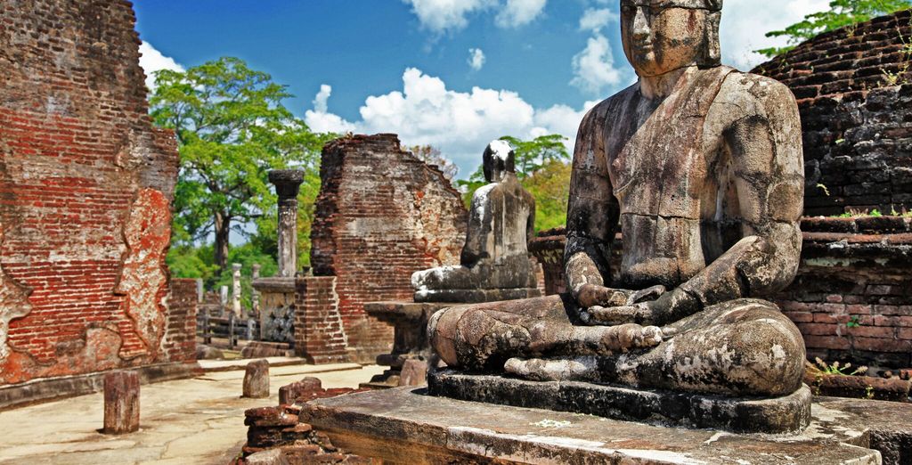 Tour completo dello Sri Lanka con mini safari - 7 notti in Hotel 4 e 5*