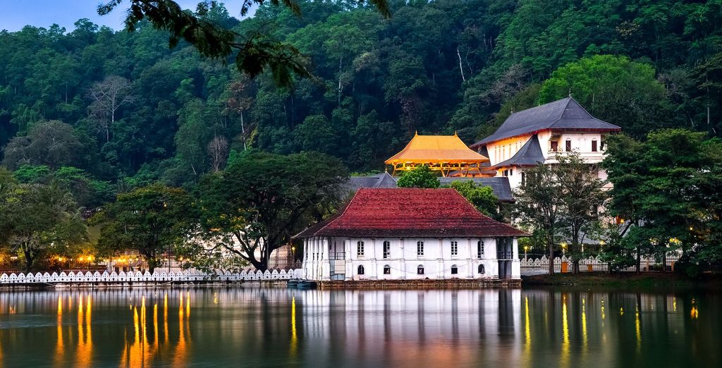 Tour completo dello Sri Lanka con mini safari - 7 notti in Hotel 4 e 5*