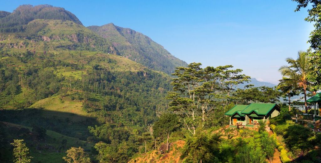 Tour completo dello Sri Lanka con mini safari - 7 notti in Hotel 4 e 5*