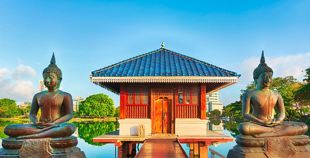Tour completo dello Sri Lanka con mini safari - 7 notti in Hotel 4 e 5*