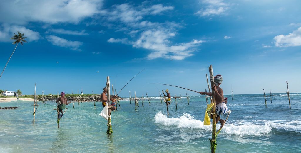 Tour completo dello Sri Lanka con mini safari - 7 notti in Hotel 4 e 5*