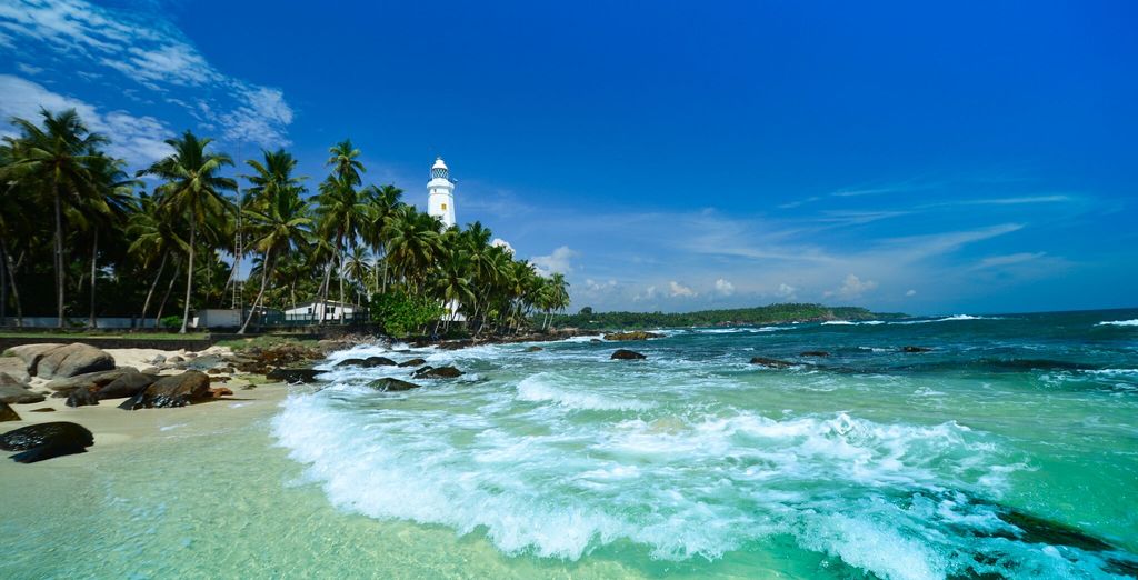 Tour completo dello Sri Lanka con mini safari - 7 notti in Hotel 4 e 5*