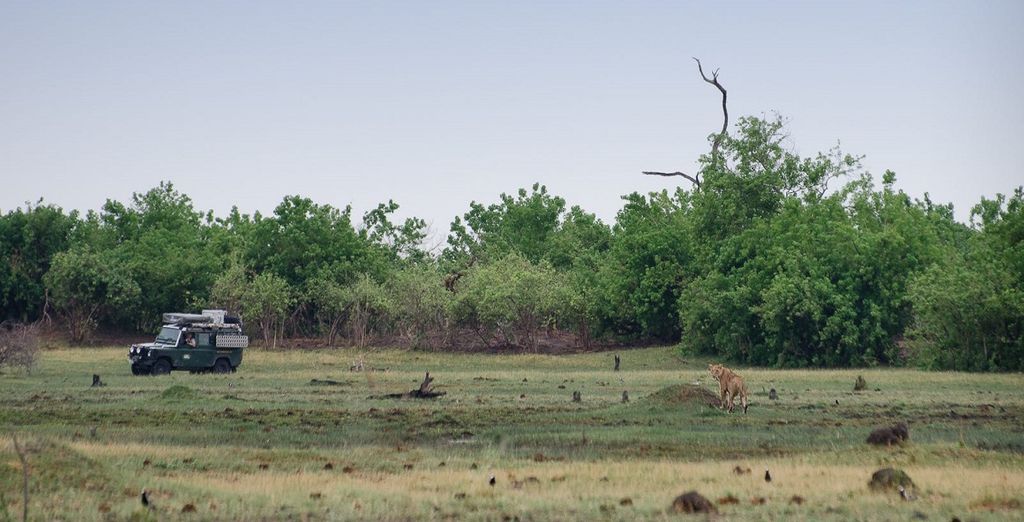 Tour alla scoperta di Botswana e Victoria Falls