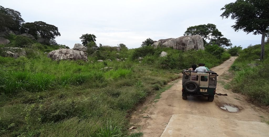Tour alla scoperta di Botswana e Victoria Falls