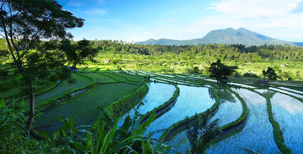 Atta Mesari Resort & Spa 4* e Prama Sanur Beach 5*