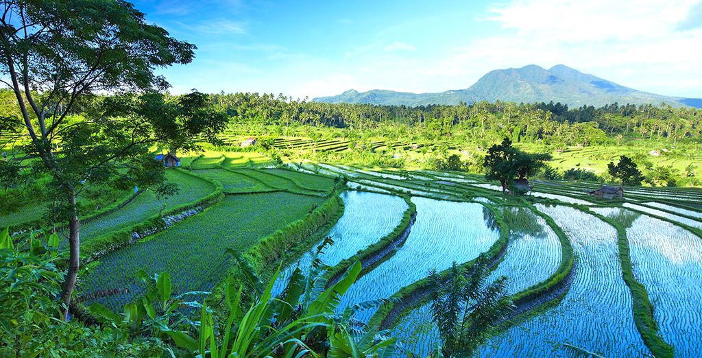 Furama Villas & Spa 4* & The Leaf Jimbaran Bali Luxurious Villa & Spa Retreat 5*