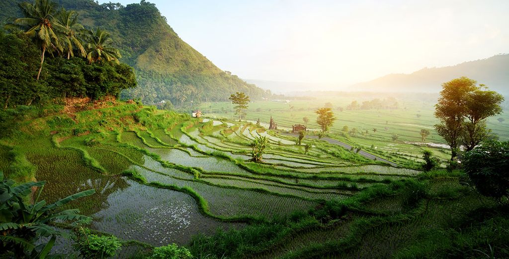 Bali Profound Tour