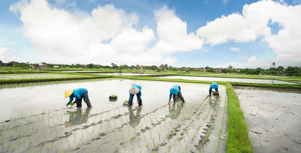 Bali Profound Tour