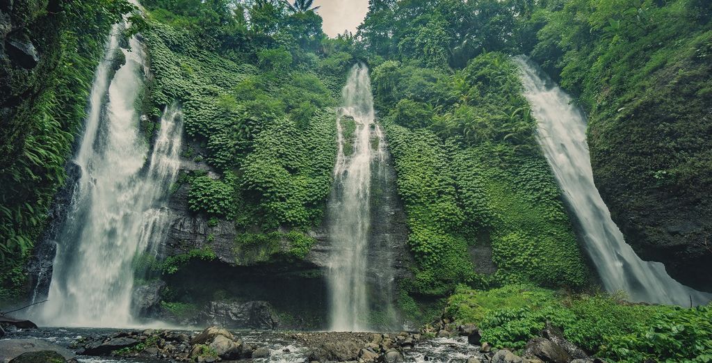 Bali Profound Tour