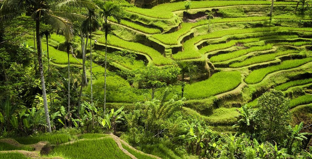 Bali Profound Tour