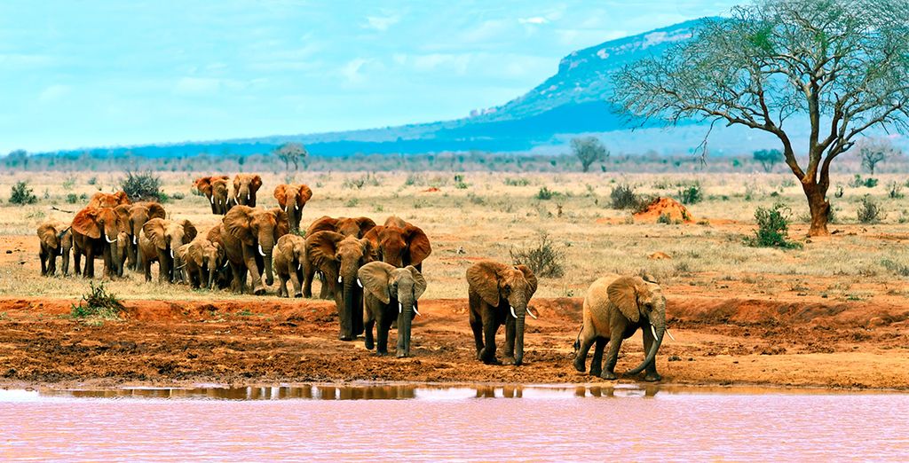 Sarova Whitesands Beach Resort & Spa 4* & Safari