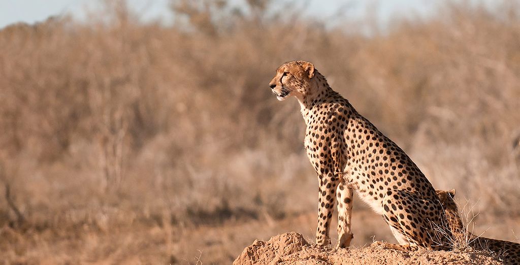 Sarova Whitesands Beach Resort & Spa 4* & Safari