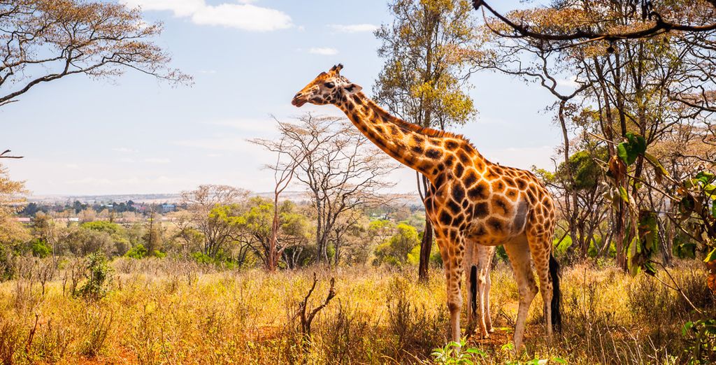 Sarova Whitesands Beach Resort & Spa 4* & Safari