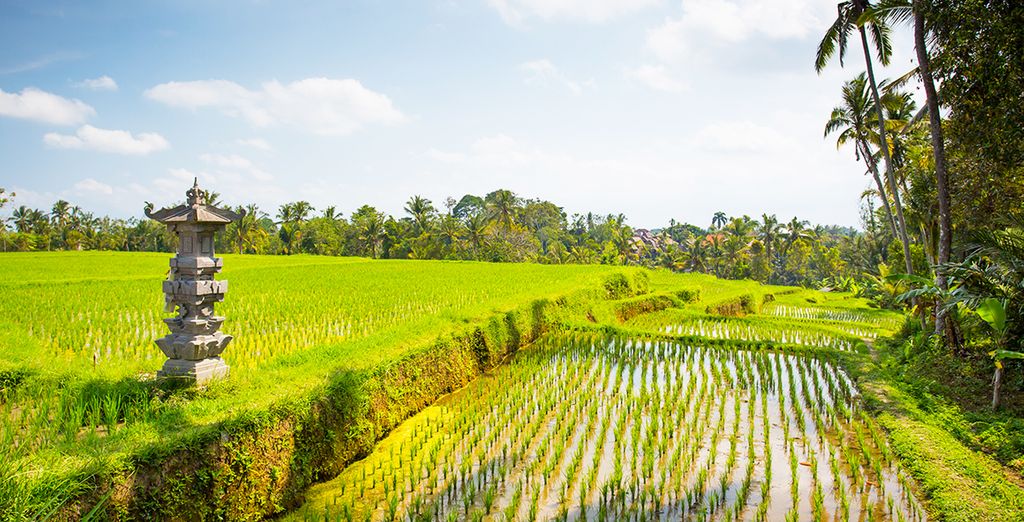 Atta Mesari Resort & Spa 4* + The Sakala Resort Bali 5*