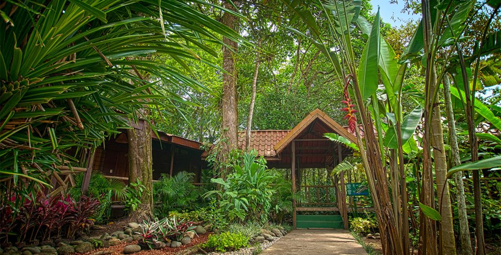 Autotour Costa Rica con estensione mare a Jaco Beach
