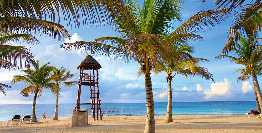 Dream Midtown 4* + Hotel Barcelo Maya Colonial 5*