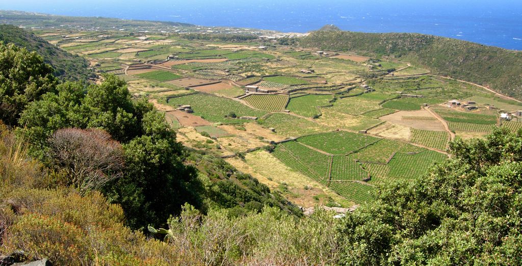 Dammusi Elegance Pantelleria