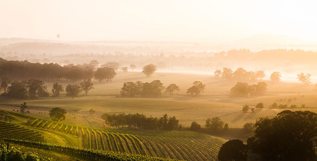 Tour alla Scoperta dell'Australia