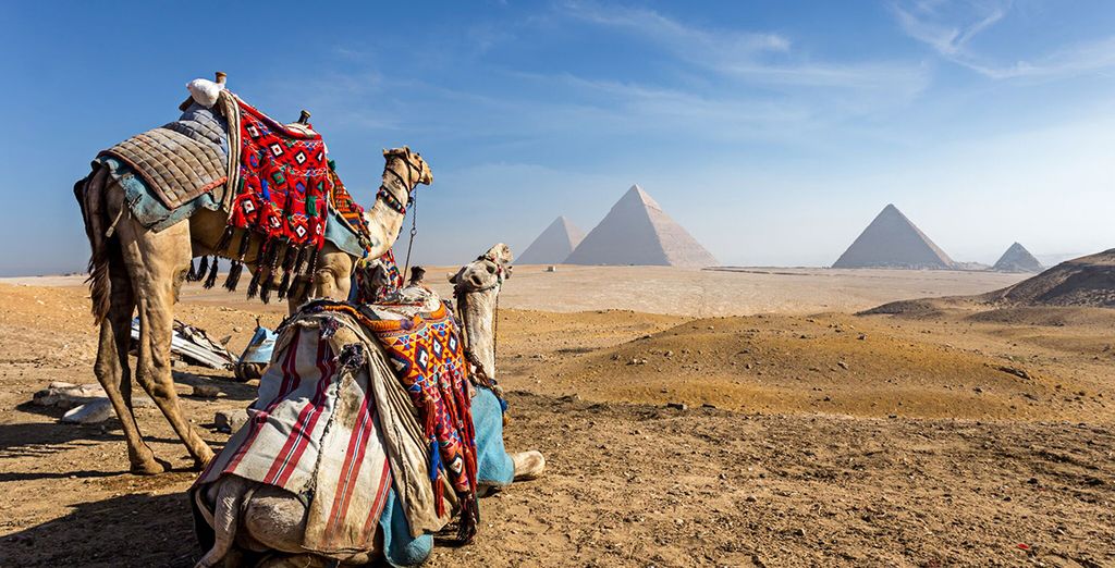 Crociera sul Nilo MS Royal Viking + Desert Rose Resort Hurghada 5*