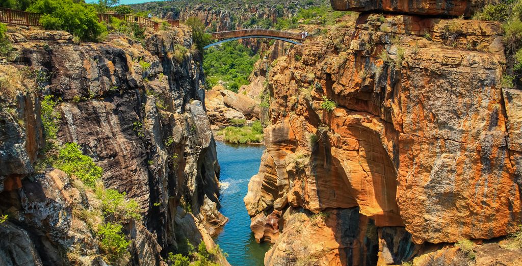 Emozionante Sudafrica: alla scoperta dei Big 7