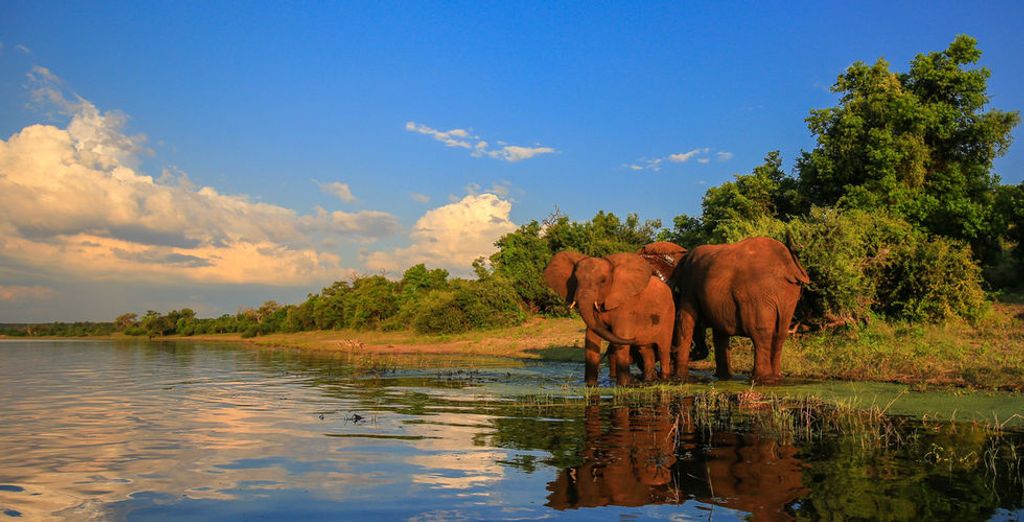Emozionante Sudafrica: alla scoperta dei Big 7