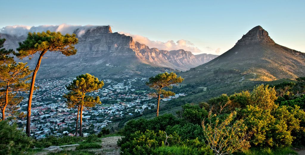 Emozionante Sudafrica: alla scoperta dei Big 7