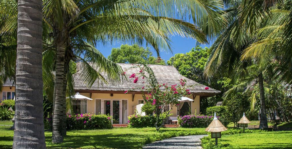 Tour Vietnam + estensione mare e volo Emirates