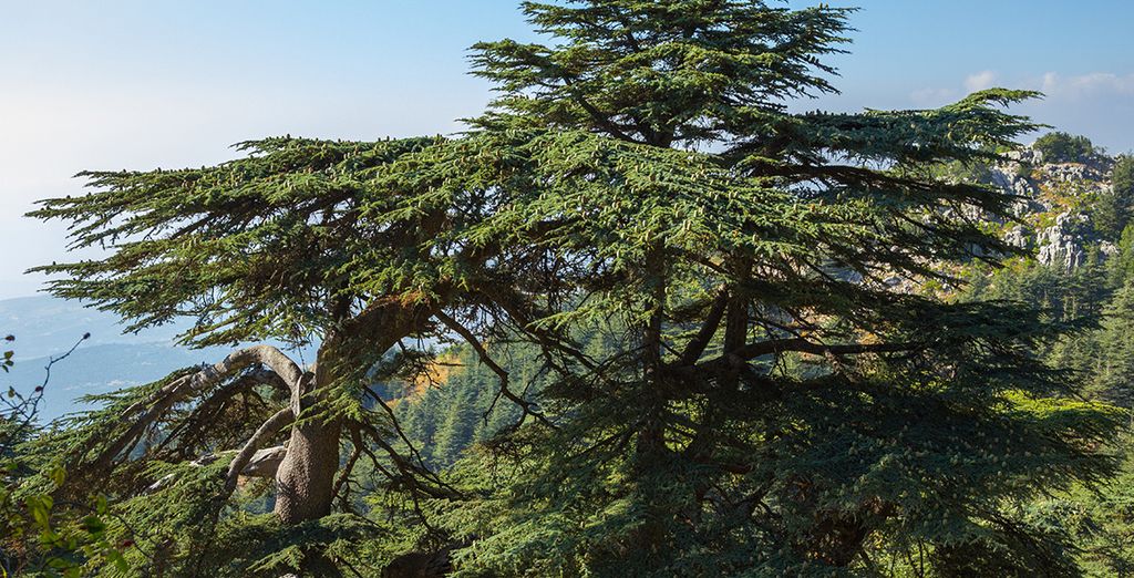 Viaggio alla scoperta del Libano, tra Beirut e Byblos