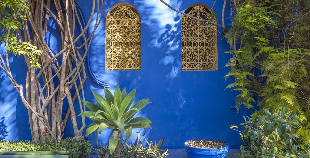 Riad Soumia